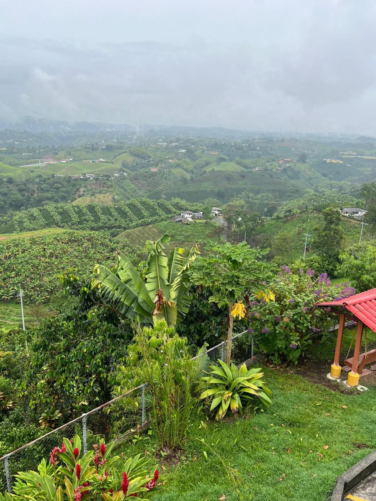 Eco Hotel La Selecta Pereira Extérieur photo